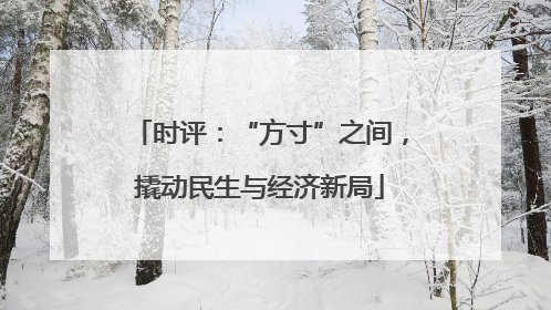 时评：“方寸”之间，撬动民生与经济新局