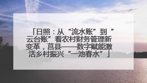 日照：从“流水账”到“云台账”看农村财务管理新变革，莒县——数字赋能激活乡村振兴“一池春水”