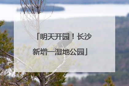 明天开园！长沙新增一湿地公园