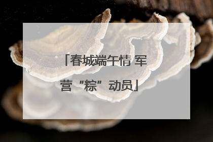 春城端午情 军营“粽”动员