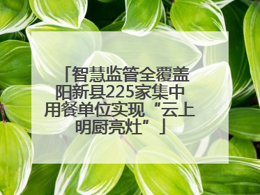 智慧监管全覆盖 阳新县225家集中用餐单位实现“云上明厨亮灶”