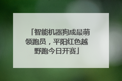 智能机器狗成最萌领跑员，平阳红色越野跑今日开赛
