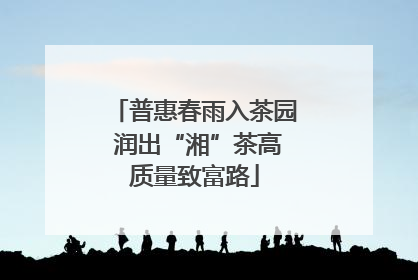 普惠春雨入茶园 润出“湘”茶高质量致富路