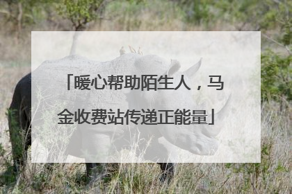 暖心帮助陌生人，马金收费站传递正能量