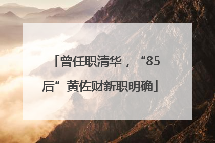 曾任职清华，“85后”黄佐财新职明确
