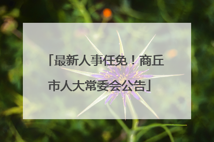 最新人事任免！商丘市人大常委会公告