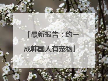 最新报告：约三成韩国人有宠物
