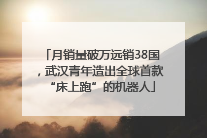月销量破万远销38国，武汉青年造出全球首款“床上跑”的机器人
