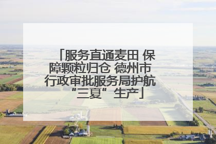 服务直通麦田 保障颗粒归仓 德州市行政审批服务局护航“三夏”生产