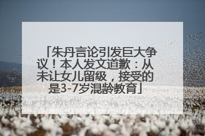 朱丹言论引发巨大争议！本人发文道歉：从未让女儿留级，接受的是3-7岁混龄教育