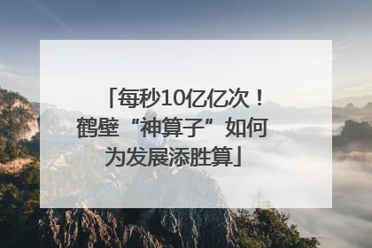 每秒10亿亿次！鹤壁“神算子”如何为发展添胜算