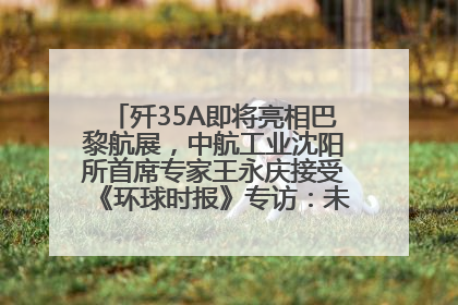 歼35A即将亮相巴黎航展，中航工业沈阳所首席专家王永庆接受《环球时报》专访：未来数量可以有很多