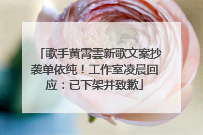 歌手黄霄雲新歌文案抄袭单依纯！工作室凌晨回应：已下架并致歉