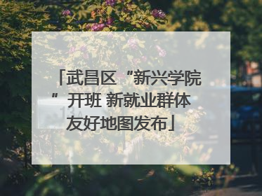 武昌区“新兴学院”开班 新就业群体友好地图发布