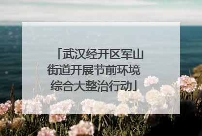 武汉经开区军山街道开展节前环境综合大整治行动