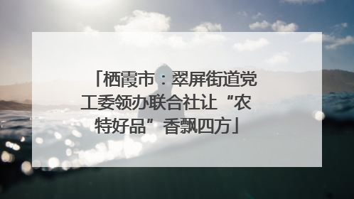 栖霞市：翠屏街道党工委领办联合社让“农特好品”香飘四方