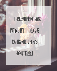 株洲市强戒所向群：忠诚铸警魂 丹心护归途