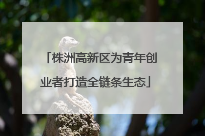 株洲高新区为青年创业者打造全链条生态