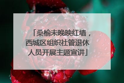 桑榆未晚映红墙，西城区组织社管退休人员开展主题宣讲