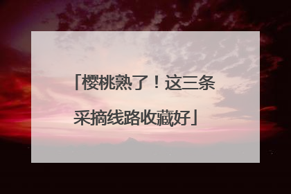 樱桃熟了！这三条采摘线路收藏好