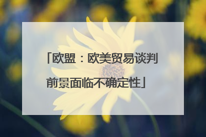 欧盟：欧美贸易谈判前景面临不确定性