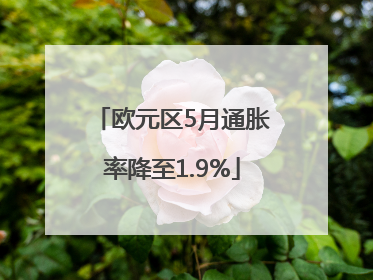 欧元区5月通胀率降至1.9%