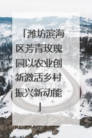 潍坊滨海区芳青玫瑰园以农业创新激活乡村振兴新动能