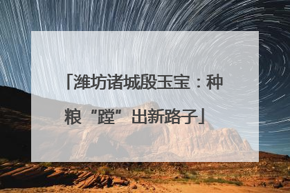 潍坊诸城殷玉宝：种粮“蹚”出新路子