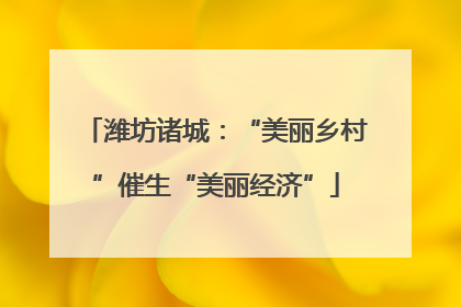 潍坊诸城：“美丽乡村”催生“美丽经济”