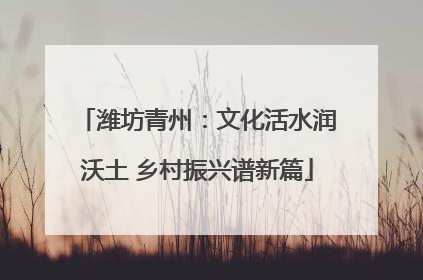 潍坊青州：文化活水润沃土 乡村振兴谱新篇