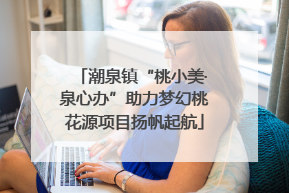 潮泉镇“桃小美·泉心办”助力梦幻桃花源项目扬帆起航