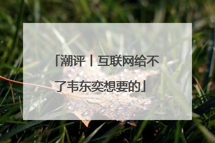 潮评丨互联网给不了韦东奕想要的