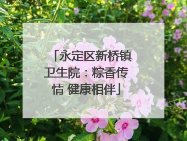 永定区新桥镇卫生院：粽香传情 健康相伴