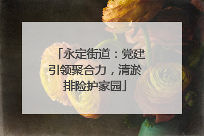 永定街道：党建引领聚合力，清淤排险护家园