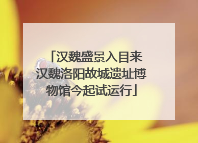 汉魏盛景入目来 汉魏洛阳故城遗址博物馆今起试运行