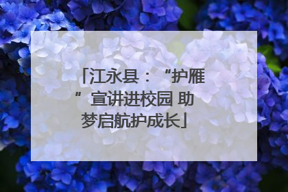 江永县：“护雁”宣讲进校园 助梦启航护成长