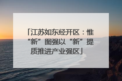江苏如东经开区：惟“新”图强以“新”提质推进产业强区