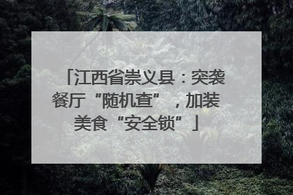 江西省崇义县：突袭餐厅“随机查”，加装美食“安全锁”