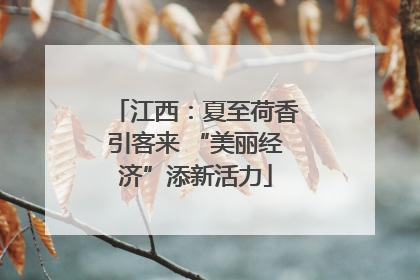 江西：夏至荷香引客来 “美丽经济”添新活力