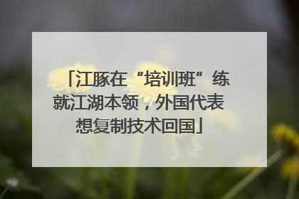 江豚在“培训班”练就江湖本领，外国代表想复制技术回国