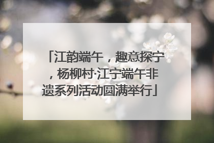 江韵端午，趣意探宁，杨柳村·江宁端午非遗系列活动圆满举行