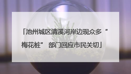 池州城区清溪河岸边现众多“梅花桩” 部门回应市民关切