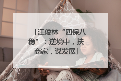 汪俊林“四保八稳”：逆境中，扶商家，谋发展