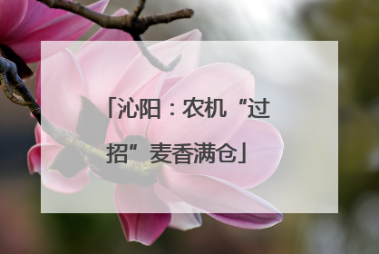 沁阳：农机“过招”麦香满仓