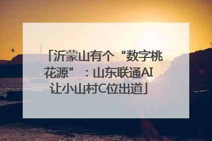 沂蒙山有个“数字桃花源”：山东联通AI让小山村C位出道