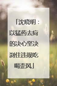 沈晓明：以猛药去疴的决心坚决刹住违规吃喝歪风