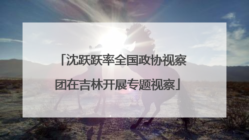 沈跃跃率全国政协视察团在吉林开展专题视察