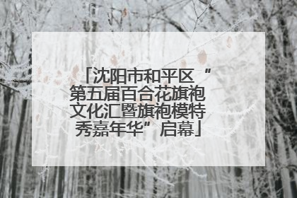 沈阳市和平区“第五届百合花旗袍文化汇暨旗袍模特秀嘉年华”启幕