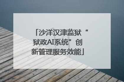 沙洋汉津监狱“狱政AI系统”创新管理服务效能