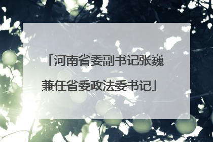 河南省委副书记张巍兼任省委政法委书记